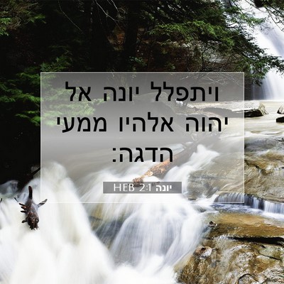 Picture 07 - יונה 2:1 HEB - ויתפלל יונה אל יהוה אלהיו - Bible Verse Picture