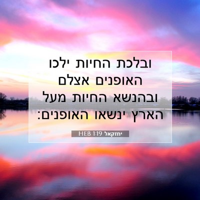 Picture 07 - יחזקאל 1:19 HEB - ובלכת החיות ילכו האופנים - Bible Verse Picture