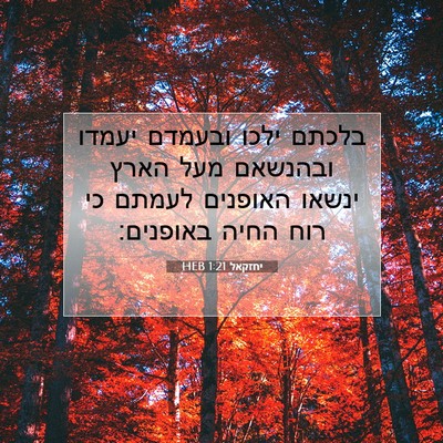 Picture 07 - יחזקאל 1:21 HEB - בלכתם ילכו ובעמדם יעמדו - Bible Verse Picture