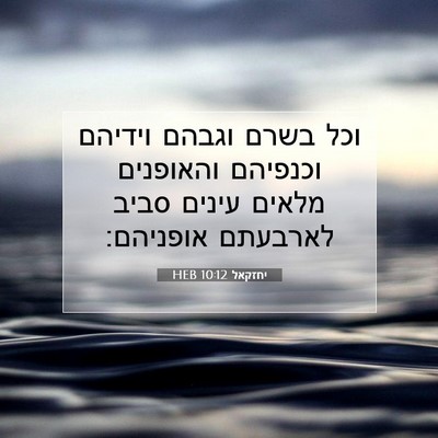 Picture 07 - יחזקאל 10:12 HEB - וכל בשרם וגבהם וידיהם - Bible Verse Picture
