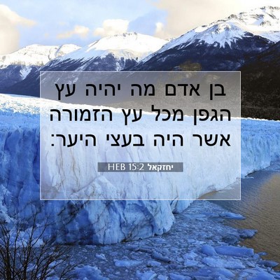 Picture 07 - יחזקאל 15:2 HEB - בן אדם מה יהיה עץ הגפן מכל - Bible Verse Picture