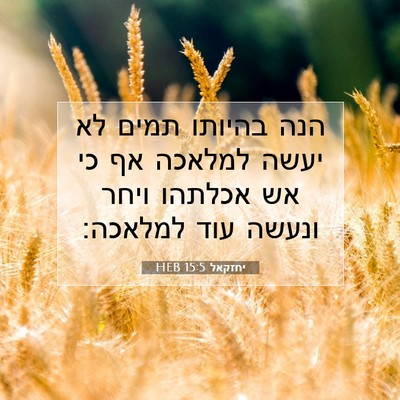 Picture 07 - יחזקאל 15:5 HEB - הנה בהיותו תמים לא יעשה - Bible Verse Picture
