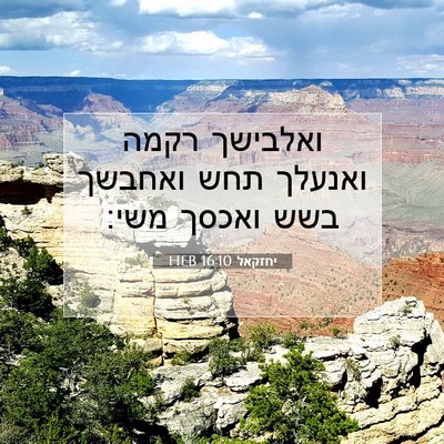 Picture 07 - יחזקאל 16:10 HEB - ואלבישך רקמה ואנעלך תחש - Bible Verse Picture