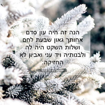 Picture 07 - יחזקאל 16:49 HEB - הנה זה היה עון סדם אחותך - Bible Verse Picture