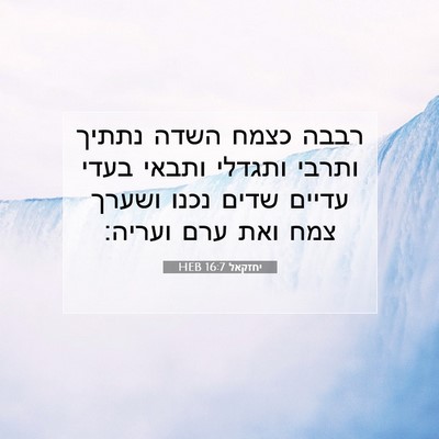 Picture 07 - יחזקאל 16:7 HEB - רבבה כצמח השדה נתתיך ותרבי - Bible Verse Picture