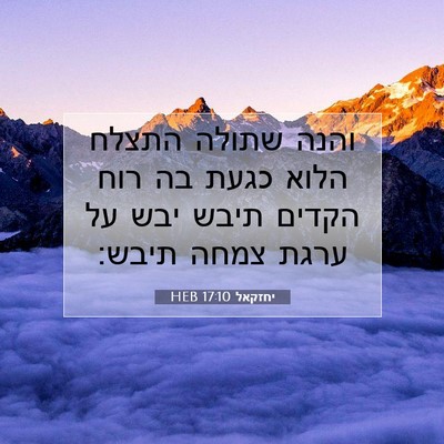 Picture 07 - יחזקאל 17:10 HEB - והנה שתולה התצלח הלוא כגעת - Bible Verse Picture