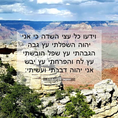 Picture 07 - יחזקאל 17:24 HEB - וידעו כל עצי השדה כי אני - Bible Verse Picture