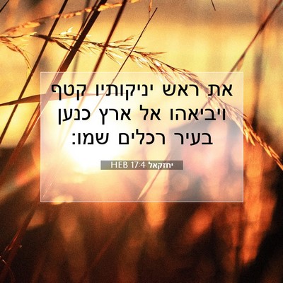 Picture 07 - יחזקאל 17:4 HEB - את ראש יניקותיו קטף - Bible Verse Picture