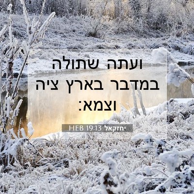 Picture 07 - יחזקאל 19:13 HEB - ועתה שתולה במדבר בארץ ציה - Bible Verse Picture