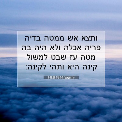 Picture 07 - יחזקאל 19:14 HEB - ותצא אש ממטה בדיה פריה אכלה - Bible Verse Picture