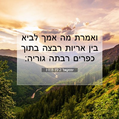Picture 07 - יחזקאל 19:2 HEB - ואמרת מה אמך לביא בין אריות - Bible Verse Picture