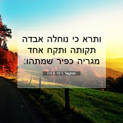 Picture 07 - יחזקאל 19:5 HEB - ותרא כי נוחלה אבדה תקותה - Bible Verse Picture
