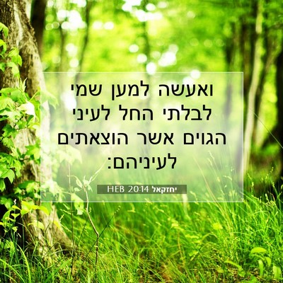 Picture 07 - יחזקאל 20:14 HEB - ואעשה למען שמי לבלתי החל - Bible Verse Picture