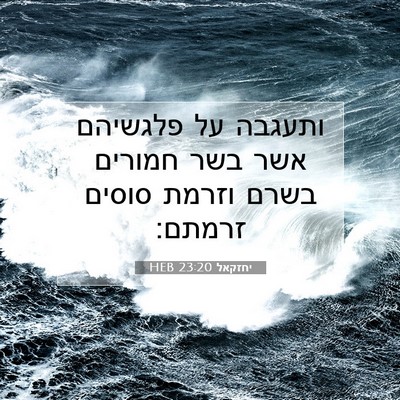Picture 07 - יחזקאל 23:20 HEB - ותעגבה על פלגשיהם אשר בשר - Bible Verse Picture