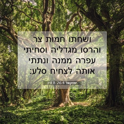 Picture 07 - יחזקאל 26:4 HEB - ושחתו חמות צר והרסו מגדליה - Bible Verse Picture