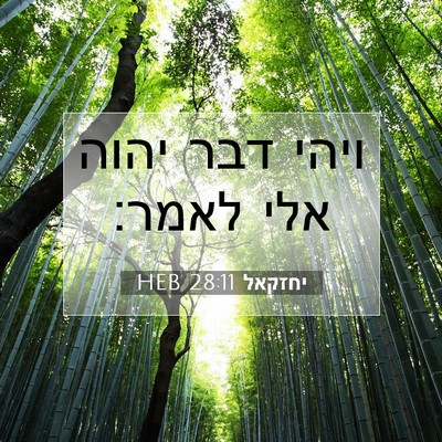 Picture 07 - יחזקאל 28:11 HEB - ויהי דבר יהוה אלי - Bible Verse Picture
