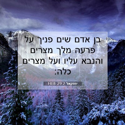 Picture 07 - יחזקאל 29:2 HEB - בן אדם שים פניך על פרעה מלך - Bible Verse Picture