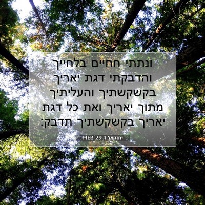 Picture 07 - יחזקאל 29:4 HEB - ונתתי חחיים בלחייך והדבקתי - Bible Verse Picture