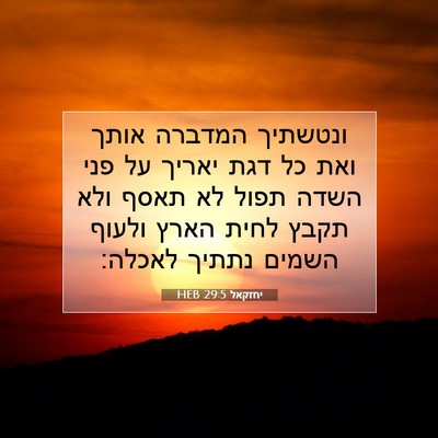 Picture 07 - יחזקאל 29:5 HEB - ונטשתיך המדברה אותך ואת כל - Bible Verse Picture