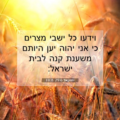Picture 07 - יחזקאל 29:6 HEB - וידעו כל ישבי מצרים כי אני - Bible Verse Picture