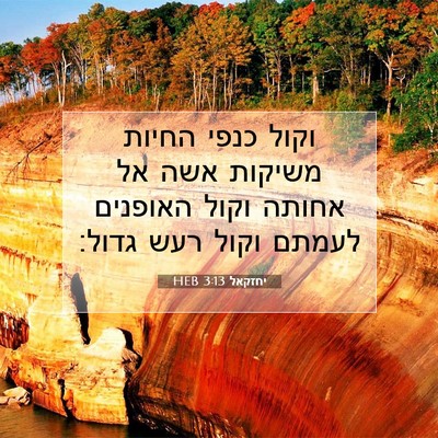 Picture 07 - יחזקאל 3:13 HEB - וקול כנפי החיות משיקות אשה - Bible Verse Picture