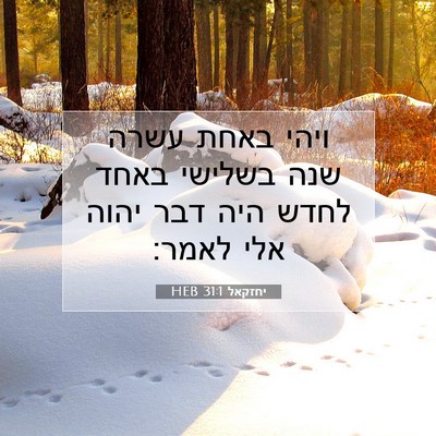 Picture 07 - יחזקאל 31:1 HEB - ויהי באחת עשרה שנה בשלישי - Bible Verse Picture