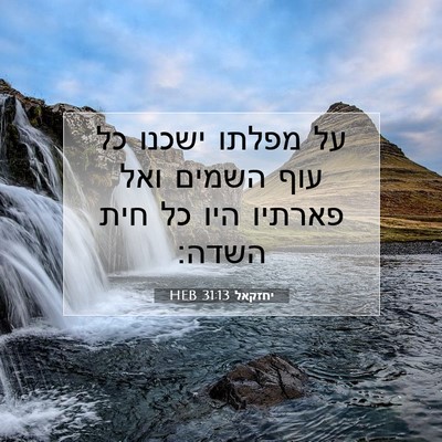 Picture 07 - יחזקאל 31:13 HEB - על מפלתו ישכנו כל עוף השמים - Bible Verse Picture