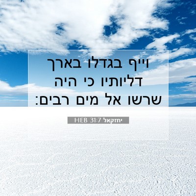 Picture 07 - יחזקאל 31:7 HEB - וייף בגדלו בארך דליותיו כי - Bible Verse Picture