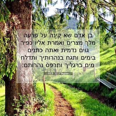 Picture 07 - יחזקאל 32:2 HEB - בן אדם שא קינה על פרעה מלך - Bible Verse Picture