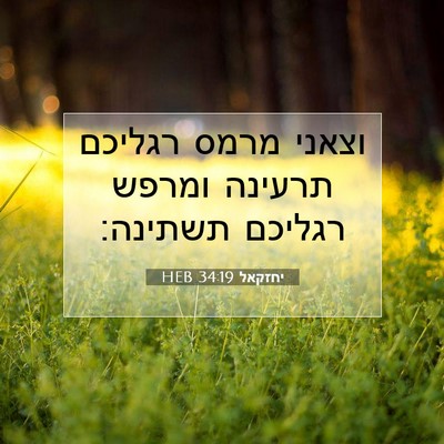 Picture 07 - יחזקאל 34:19 HEB - וצאני מרמס רגליכם תרעינה - Bible Verse Picture
