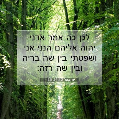Picture 07 - יחזקאל 34:20 HEB - לכן כה אמר אדני יהוה אליהם - Bible Verse Picture