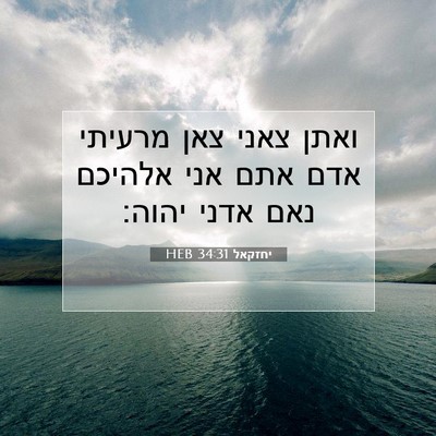 Picture 07 - יחזקאל 34:31 HEB - ואתן צאני צאן מרעיתי אדם - Bible Verse Picture