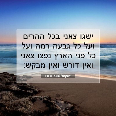 Picture 07 - יחזקאל 34:6 HEB - ישגו צאני בכל ההרים ועל כל - Bible Verse Picture