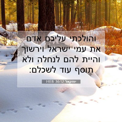 Picture 07 - יחזקאל 36:12 HEB - והולכתי עליכם אדם את עמי - Bible Verse Picture