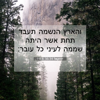Picture 07 - יחזקאל 36:34 HEB - והארץ הנשמה תעבד תחת אשר - Bible Verse Picture