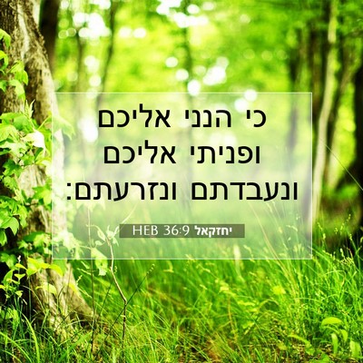 Picture 07 - יחזקאל 36:9 HEB - כי הנני אליכם ופניתי אליכם - Bible Verse Picture