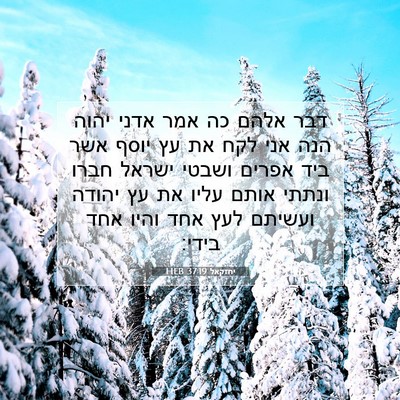 Picture 07 - יחזקאל 37:19 HEB - דבר אלהם כה אמר אדני יהוה - Bible Verse Picture