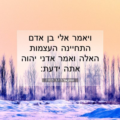 Picture 07 - יחזקאל 37:3 HEB - ויאמר אלי בן אדם התחיינה - Bible Verse Picture