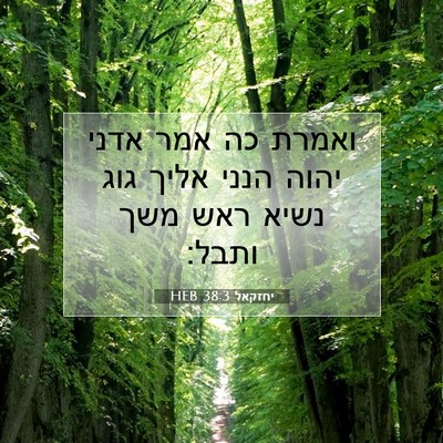 Picture 07 - יחזקאל 38:3 HEB - ואמרת כה אמר אדני יהוה הנני - Bible Verse Picture