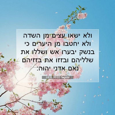 Picture 07 - יחזקאל 39:10 HEB - ולא ישאו עצים מן השדה ולא - Bible Verse Picture