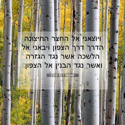 Picture 07 - יחזקאל 42:1 HEB - ויוצאני אל החצר החיצונה - Bible Verse Picture