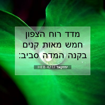 Picture 07 - יחזקאל 42:17 HEB - מדד רוח הצפון חמש מאות קנים - Bible Verse Picture