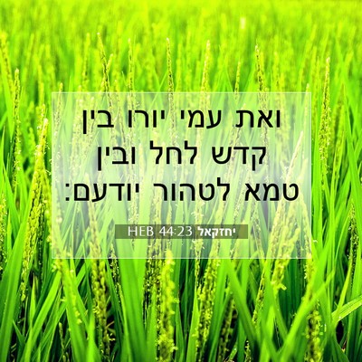 Picture 07 - יחזקאל 44:23 HEB - ואת עמי יורו בין קדש לחל - Bible Verse Picture