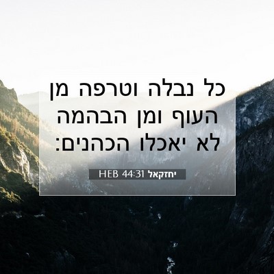 Picture 07 - יחזקאל 44:31 HEB - כל נבלה וטרפה מן העוף ומן - Bible Verse Picture