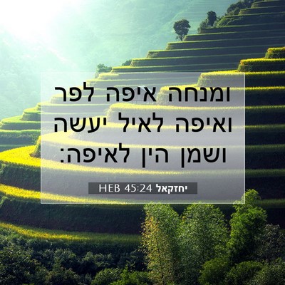 Picture 07 - יחזקאל 45:24 HEB - ומנחה איפה לפר ואיפה לאיל - Bible Verse Picture