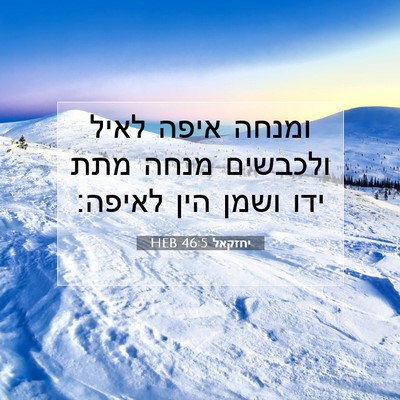 Picture 07 - יחזקאל 46:5 HEB - ומנחה איפה לאיל ולכבשים - Bible Verse Picture