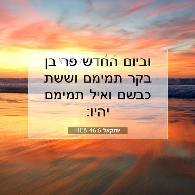 Picture 07 - יחזקאל 46:6 HEB - וביום החדש פר בן בקר תמימם - Bible Verse Picture