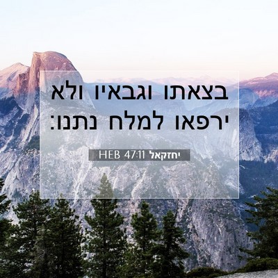 Picture 07 - יחזקאל 47:11 HEB - בצאתו וגבאיו ולא ירפאו - Bible Verse Picture