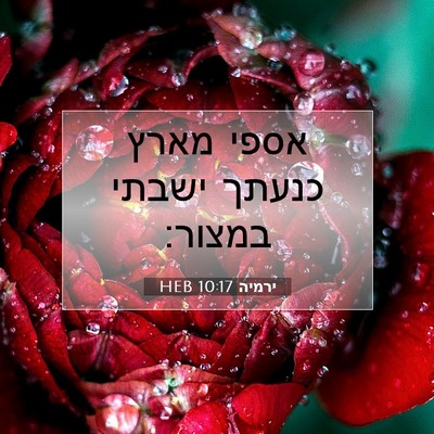 Picture 07 - ירמיה 10:17 HEB - אספי מארץ כנעתך ישבתי - Bible Verse Picture