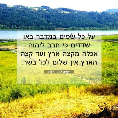 Picture 07 - ירמיה 12:12 HEB - על כל שפים במדבר באו שדדים - Bible Verse Picture